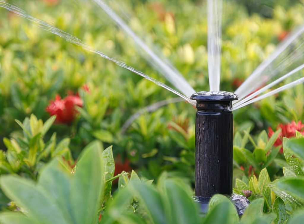 Automatic Sprinkler in Ground Cover