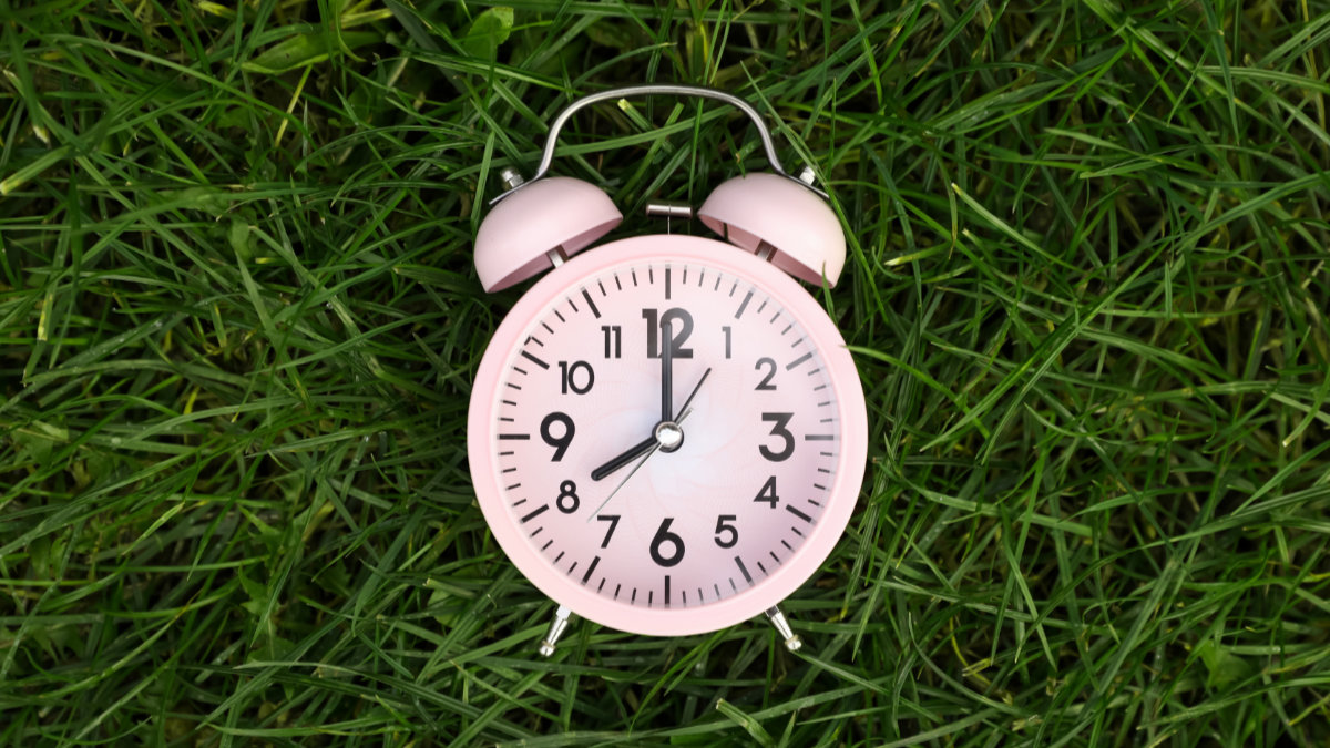 Pink Clock on Green Grass